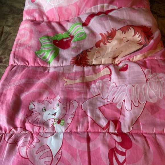 Strawberry Shortcake with Custard the Cat Pink Sleeping Bag Vintage - Picture 8 of 10